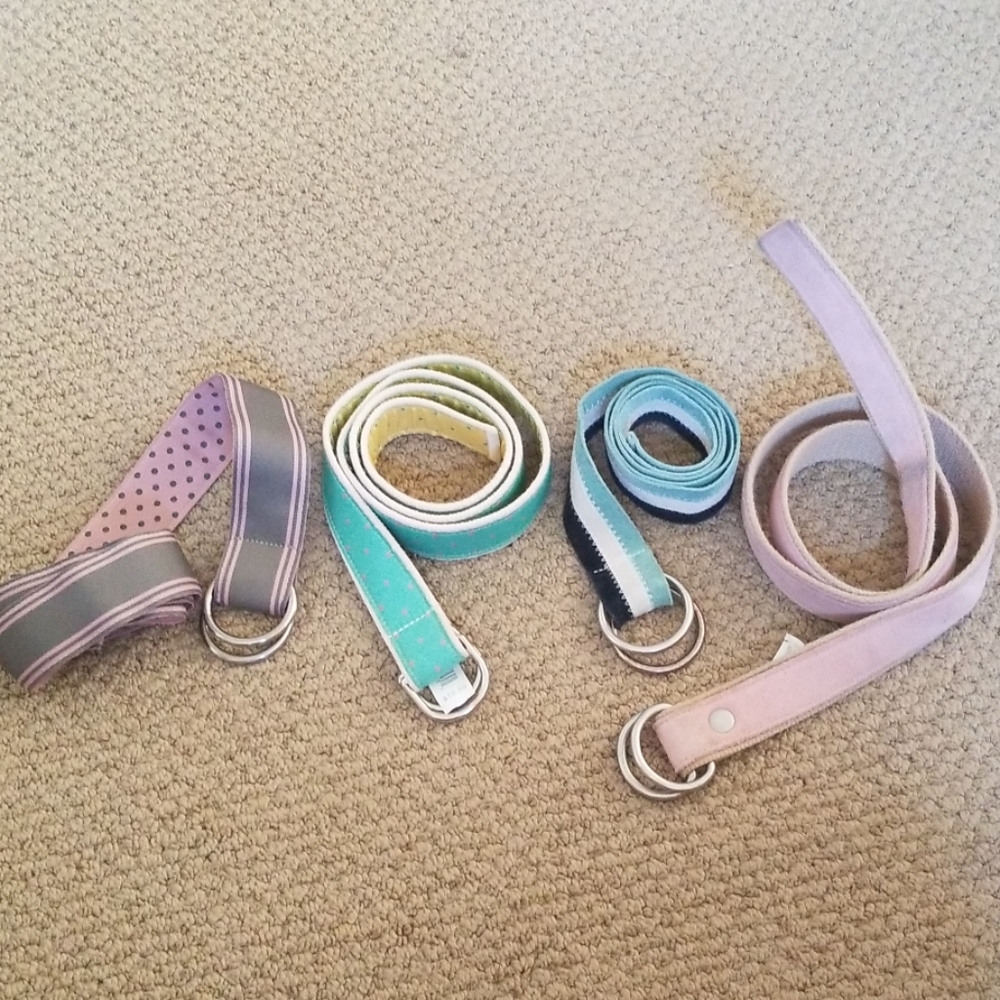 Assorted Belts - image 1